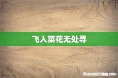 飞入菜花无处寻