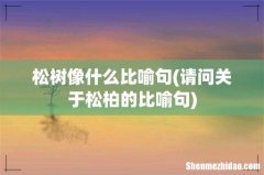 请问关于松柏的比喻句 松树像什么比喻句