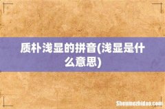 浅显是什么意思 质朴浅显的拼音