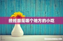 担担面是哪个地方的小吃