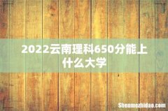 2022云南理科650分能上什么大学