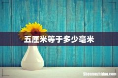 五厘米等于多少毫米