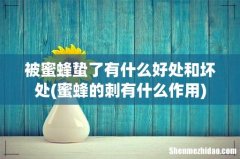 蜜蜂的刺有什么作用 被蜜蜂蛰了有什么好处和坏处