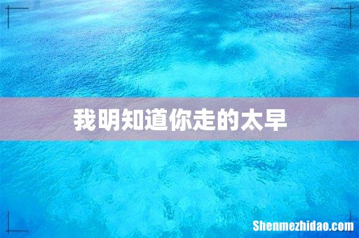 我明知道你走的太早