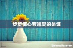 步步惊心若曦爱的是谁