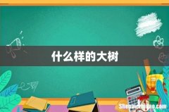 什么样的大树