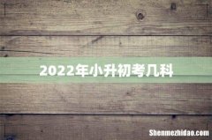 2022年小升初考几科