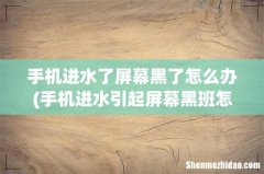 手机进水引起屏幕黑班怎么办 手机进水了屏幕黑了怎么办