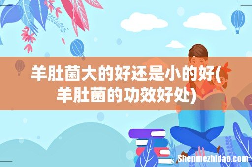 羊肚菌的功效好处 羊肚菌大的好还是小的好