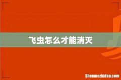 飞虫怎么才能消灭