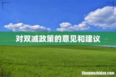 对双减政策的意见和建议
