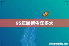 95年属猪今年多大