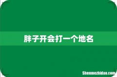 胖子开会打一个地名