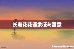 长寿花花语象征与寓意