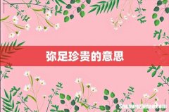 弥足珍贵的意思