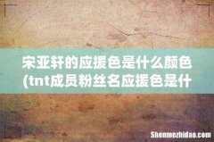 tnt成员粉丝名应援色是什么？ 宋亚轩的应援色是什么颜色