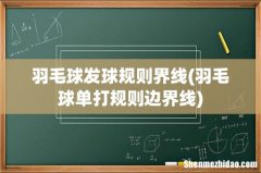 羽毛球单打规则边界线 羽毛球发球规则界线