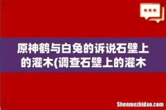 调查石壁上的灌木叩击之后怎么做 原神鹤与白兔的诉说石壁上的灌木