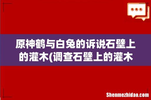 调查石壁上的灌木叩击之后怎么做 原神鹤与白兔的诉说石壁上的灌木