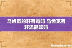 马齿苋的籽有毒吗 马齿苋有籽还能吃吗