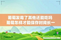 葡萄发霉了其他还能吃吗 葡萄怎样才能保存时间长一些