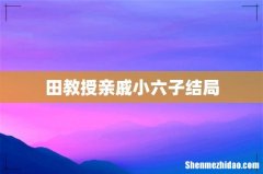 田教授亲戚小六子结局