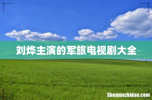 刘烨主演的军旅电视剧大全