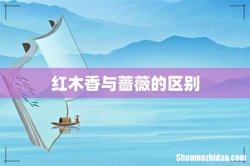 红木香与蔷薇的区别