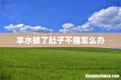 羊水破了肚子不痛怎么办