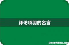 评论项羽的名言