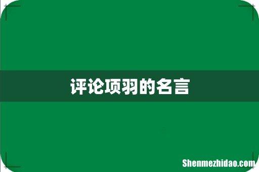 评论项羽的名言