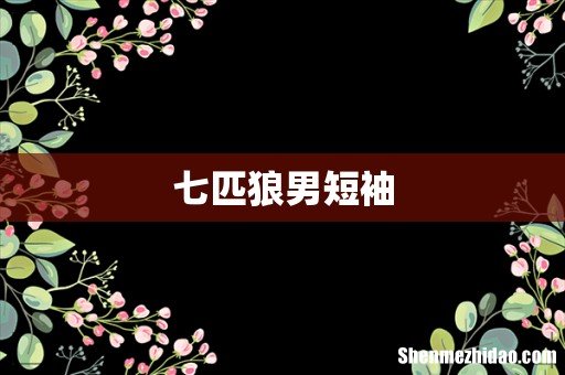 七匹狼男短袖