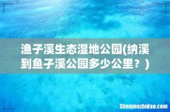 纳溪到鱼孑溪公园多少公里？ 渔子溪生态湿地公园