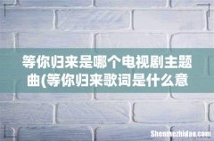 等你归来歌词是什么意思？ 等你归来是哪个电视剧主题曲