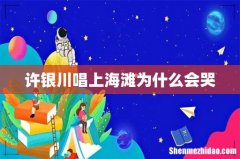 许银川唱上海滩为什么会哭