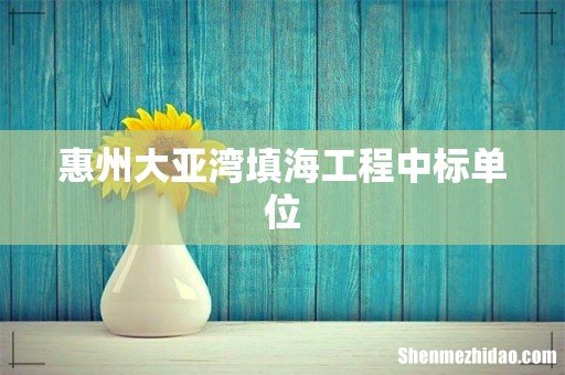 惠州大亚湾填海工程中标单位