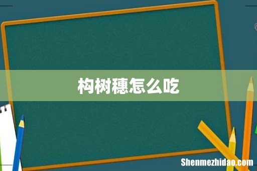 构树穗怎么吃