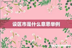 设区市是什么意思举例