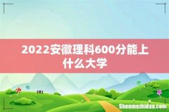 2022安徽理科600分能上什么大学