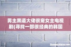 寻找一部很经典的韩国喜欢爱情片 女主角是检察官 男主角是黑帮老大 女主角长的特像男主角