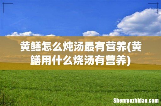 黄鳝用什么烧汤有营养 黄鳝怎么炖汤最有营养