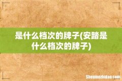 安踏是什么档次的牌子 是什么档次的牌子