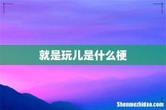 就是玩儿是什么梗