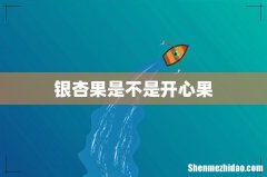 银杏果是不是开心果