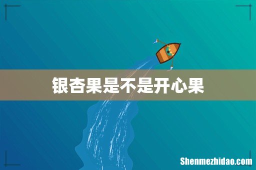 银杏果是不是开心果