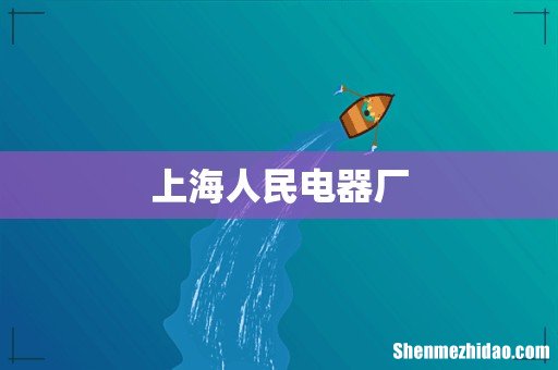 上海人民电器厂