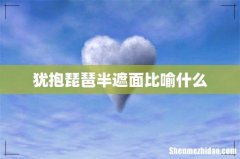 犹抱琵琶半遮面比喻什么
