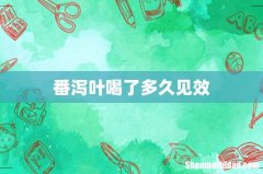 番泻叶喝了多久见效