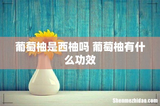 葡萄柚是西柚吗 葡萄柚有什么功效