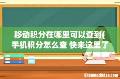 手机积分怎么查 快来这里了解下 移动积分在哪里可以查到